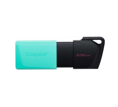 Memoria USB Kingston DataTraveler Exodia M 256GB